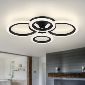 Modern LED Ceiling Fixture